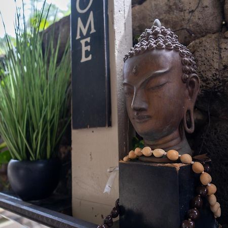Unit 18 Maui Ohana Modern Studio Wailuku 外观 照片