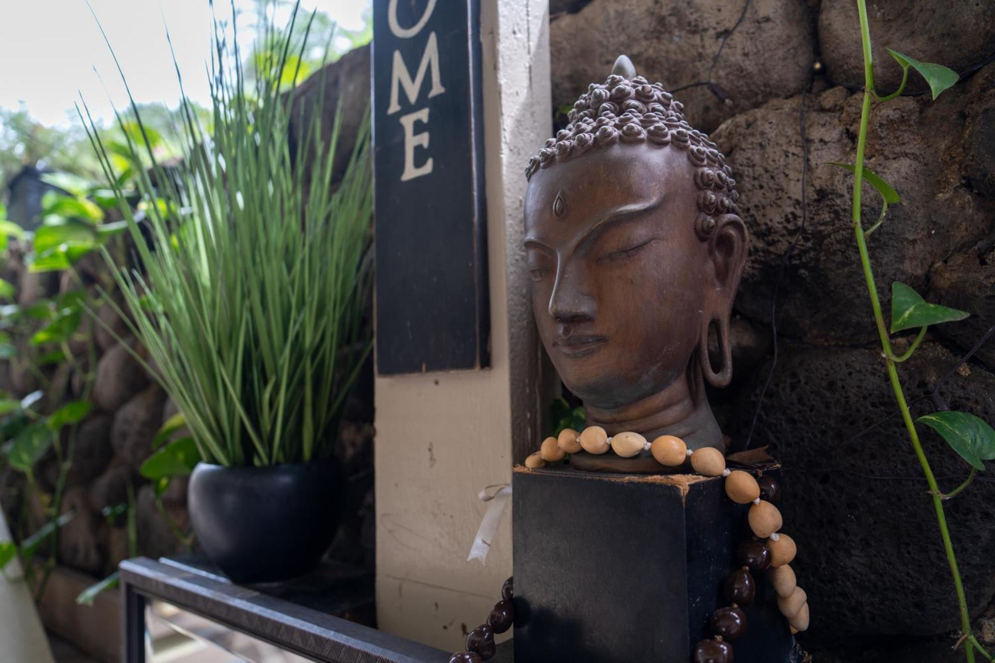 Unit 18 Maui Ohana Modern Studio Wailuku 外观 照片